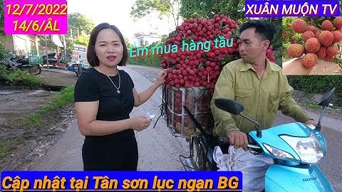 giá vải hôm nay xem các điểm cân vải giá cao tại tân sơn lục ngạn BG
