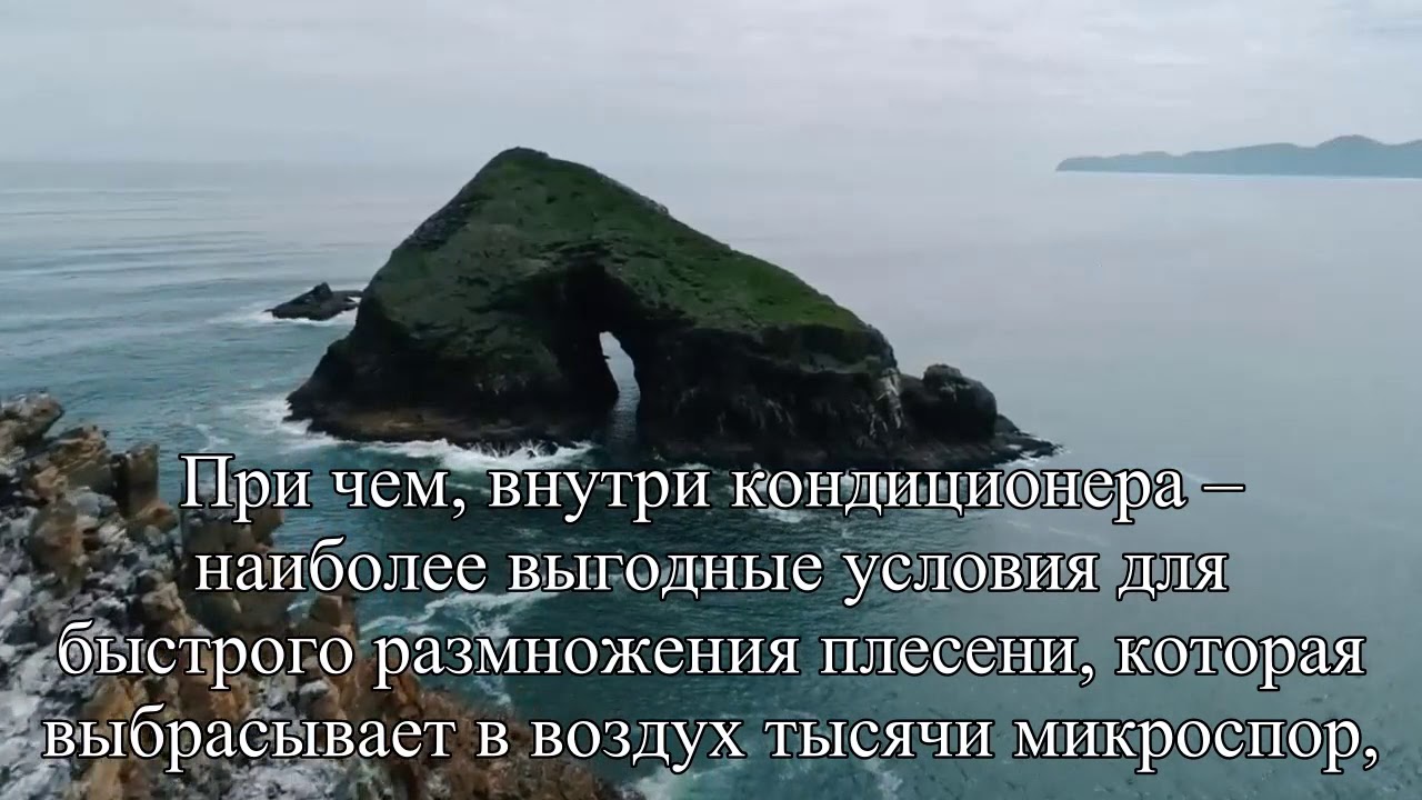 Офисная аллергия причины, последствия, способы борьбы — Статья