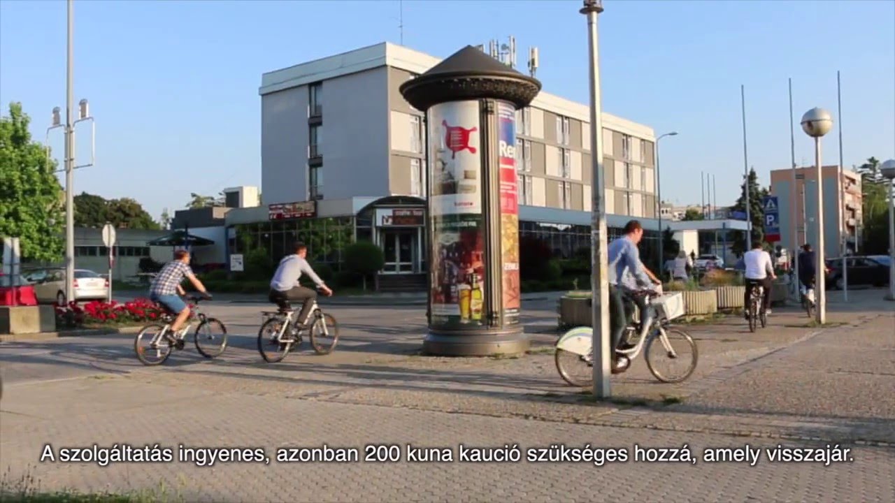 Élménypakk 6 “FENYVESCINEGE” PROGRAM