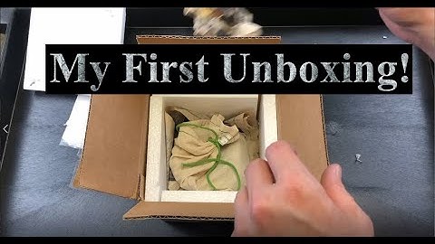 Stacking the Deck: My First Ball Python Unboxing