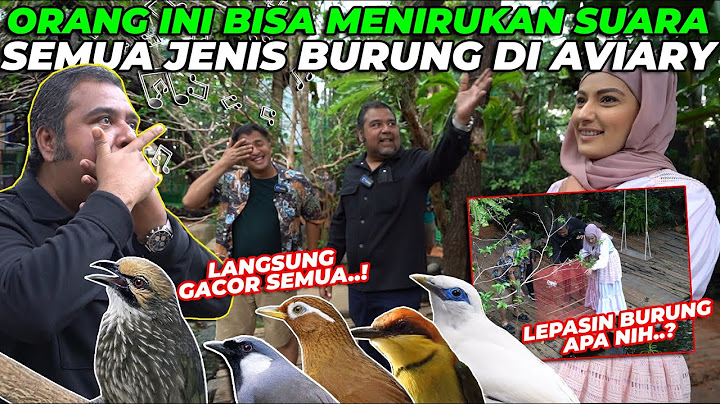 AJAIB..! ORANG INI BISA MENIRUKAN SUARA BURUNG DENGAN SEMPURNA. JALAK BALI LANGSUNG SIAP KAWIN..?
