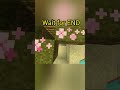 #music #minecraft