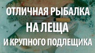 УСПЕШНАЯ ЗИМНЯЯ РЫБАЛКА на ЛЕЩА и ПОДЛЕЩИКА в ПОДМОСКОВЬЕ на МОРМЫШКУ со ЛЬДА(Отличная зимняя рыбалка на леща и крупного подлещика со льда на мормышку в Подмосковье на Можайском водохр..., 2016-12-22T16:04:00.000Z)