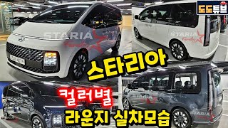 스타리아 라운지 컬러별 실차모습!! 테스트와 확연히 다른느낌의 양산차 모습은? 카니발과는 또다른 매력적인 MPV 탄생!! (틴티드 브라스크롬 적용 외장컬러는?)
