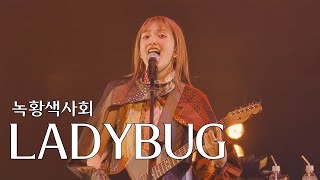 [LIVE] 녹황색사회(緑黄色社会) - LADYBUG