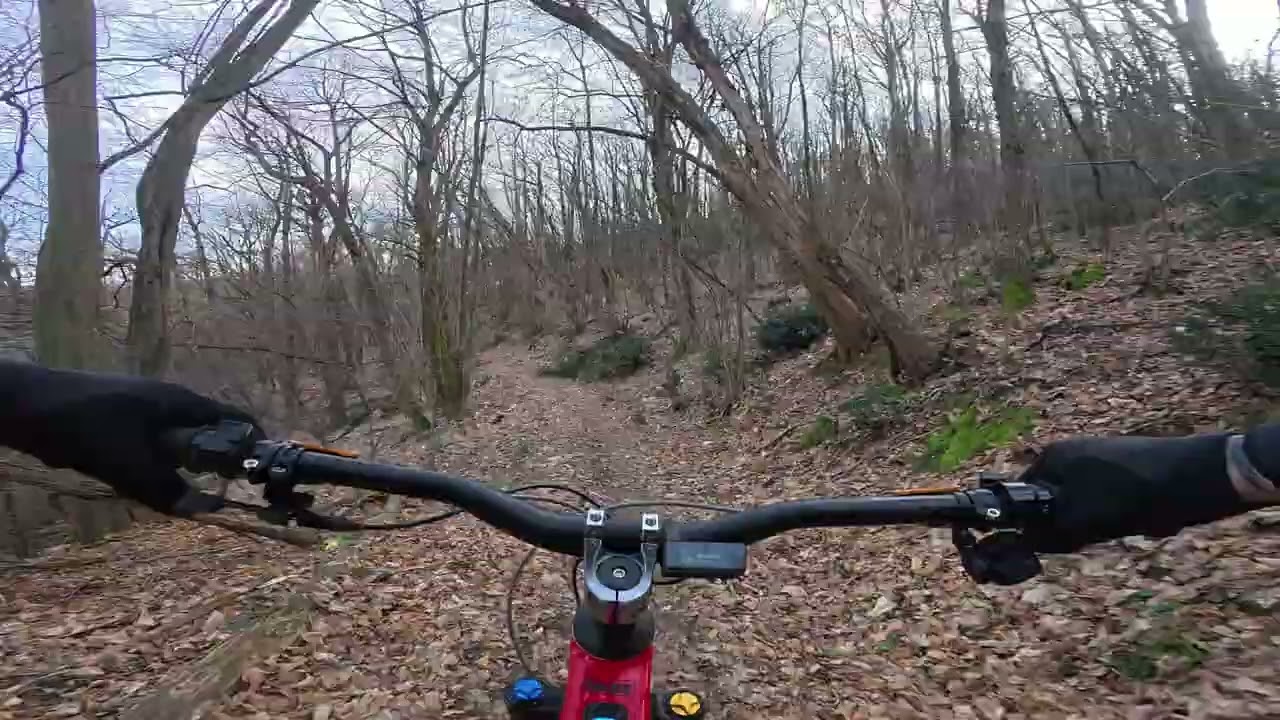 DH CALZINARE sasso marconi 