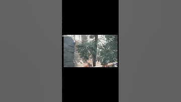 Fall Damage Check! | The Axis Unseen