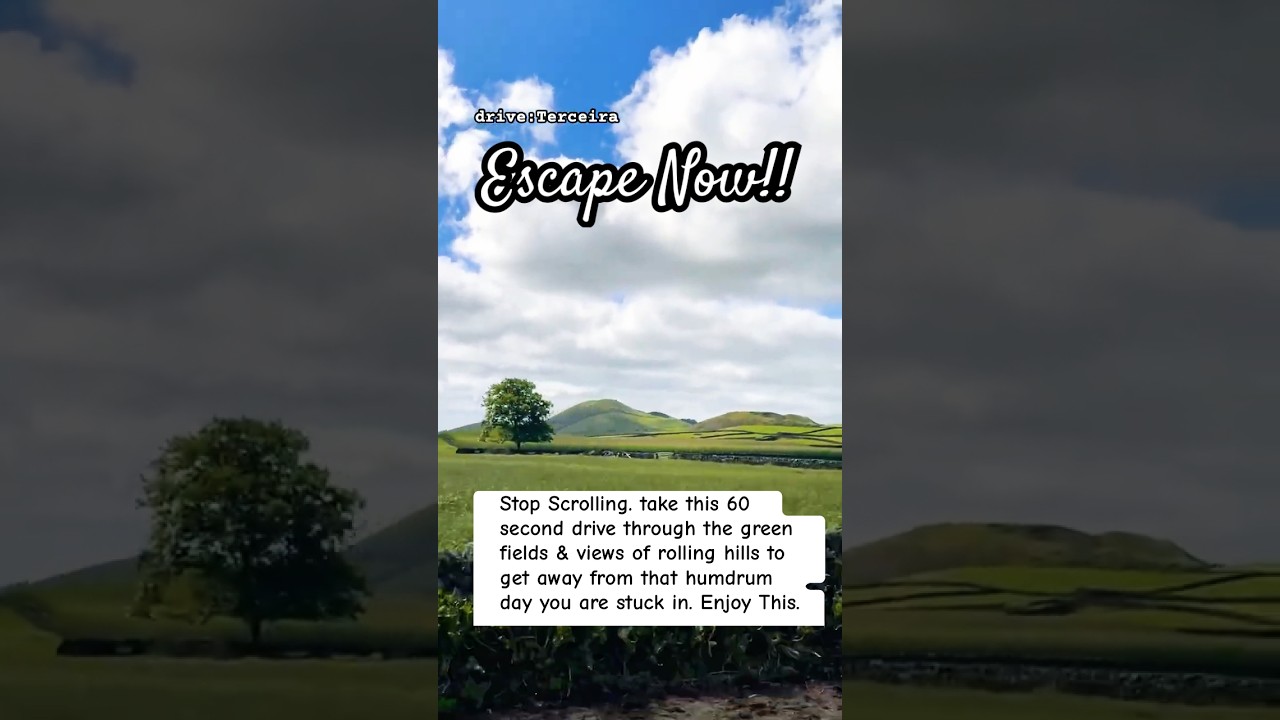 drive:Terceira in the Largest Caldeira of the 