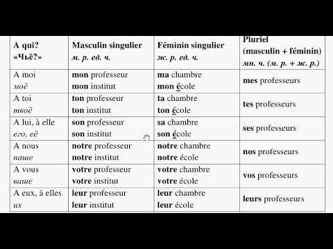 Притяжательные прилагательные во французском языке