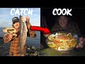 24hrs Coastal Foraging with HAZE OUTDOORS - Lobster - Crab - Fish - Catch & Cook & Campout