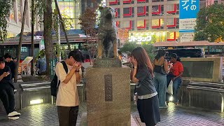 Japan July dump (Anniversary Trip)