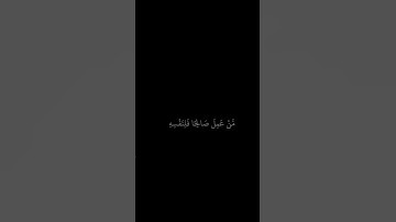 رعد الكردي || شاشه سوداء قران || من عمل صالحا فلنفسه || سورة فصلت