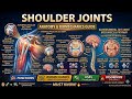 Shoulder Joint Explained | Structure, Movements &amp; Ligaments