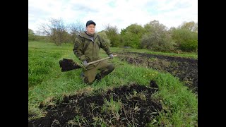 Как копать почву лопатой! Правильная перекопка участка, борьба с сорняком пыреем!