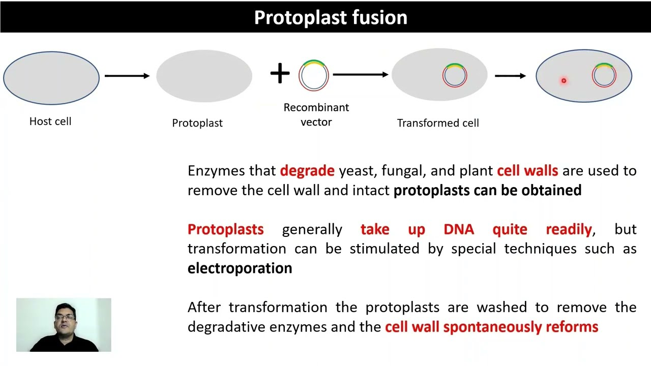 GE5 - Methods of transformation #electroporation #heatshock #biolistics #rdt #transformation