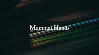 Best of Mammal Hands