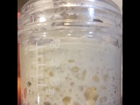 Video Cách làm men chua tự nhiên sourdough starter bột cái... - youtube