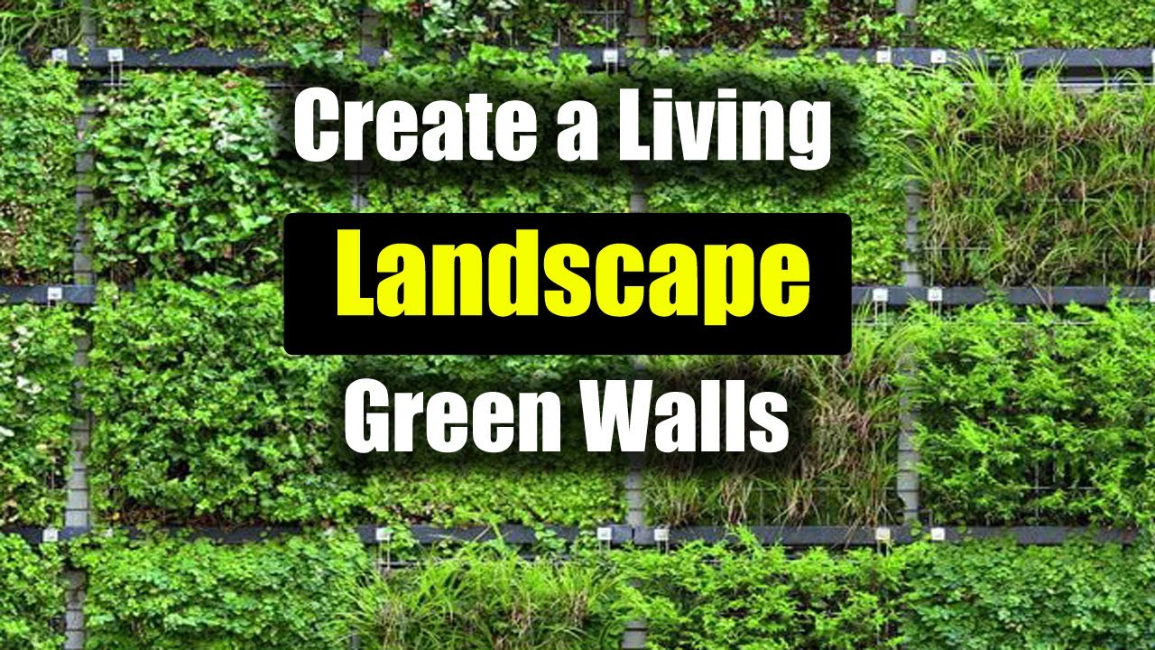 Wallscape Create a Living Landscape Green Walls | Wallscape - YouTube