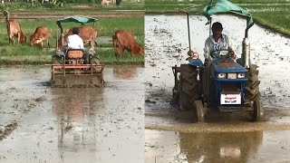 Farmers are preparing to plant rice on the countryside field