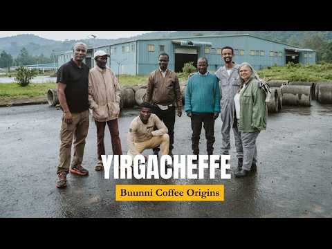 Yirgacheffe: Buunni Coffee Origins