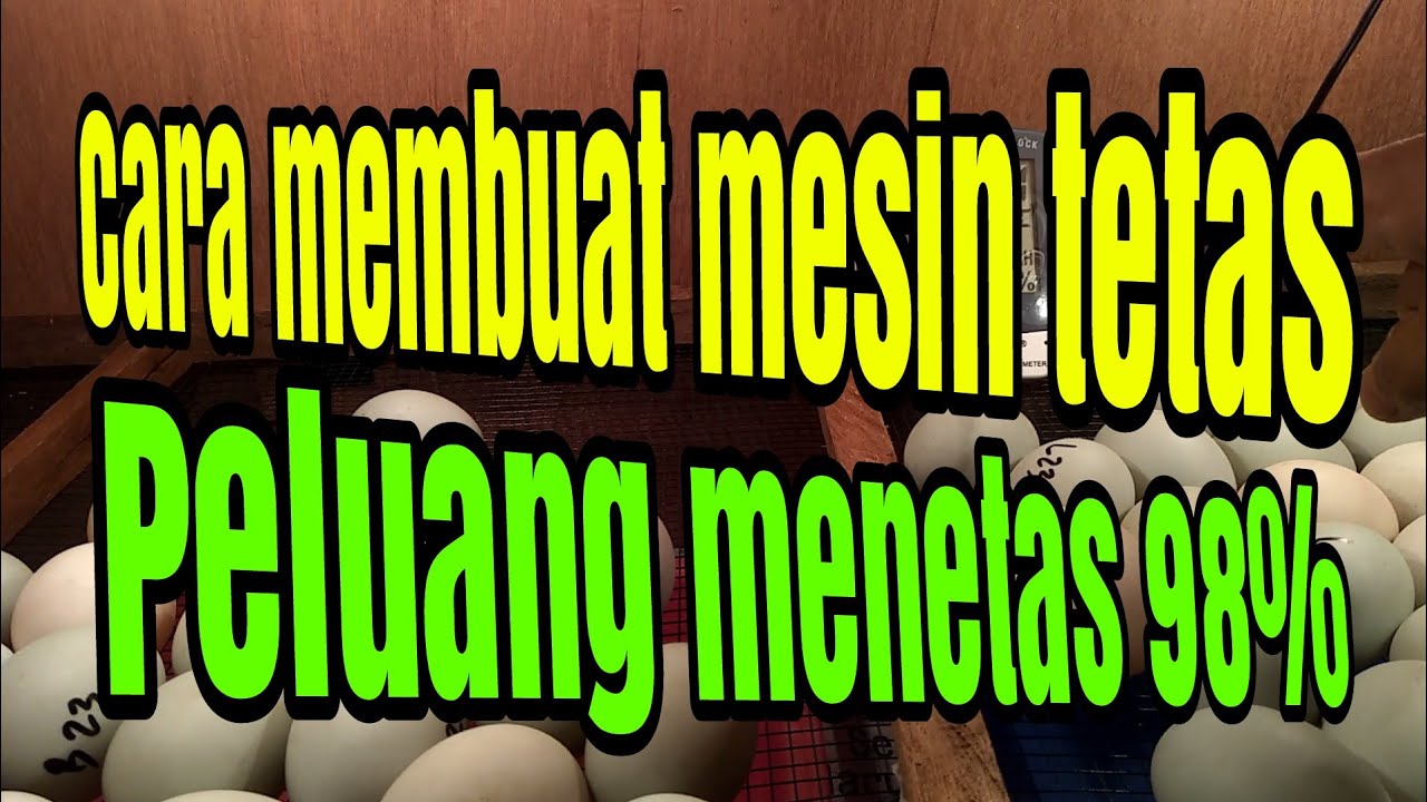 Yang ditunggu tunggu Tutorial  Membuat  Mesin  Tetas 98 