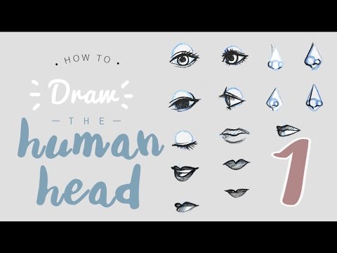 HOW TO draw a head/face || PART 1