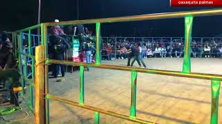 Zapotitlán Palmas Jaripeo Ranchero 2026