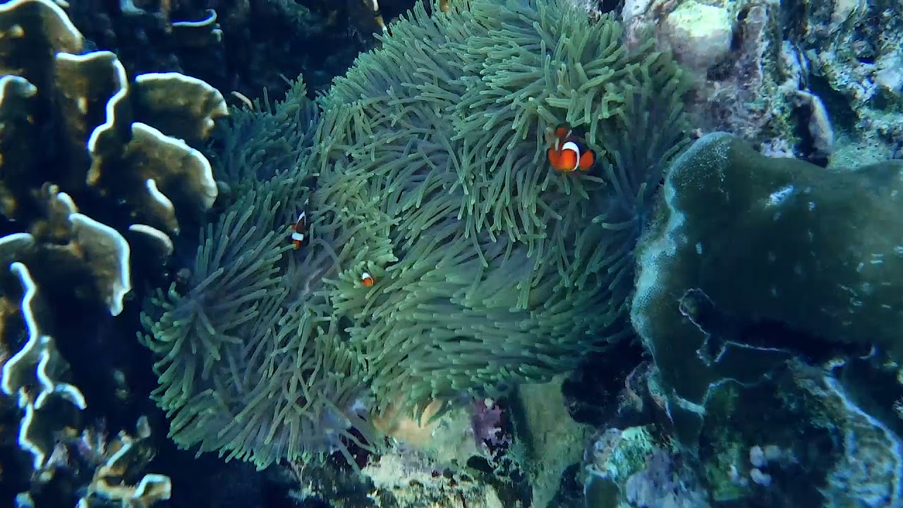 Racha Sunset Retreat [Mamy Booking]