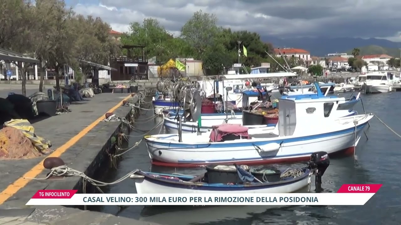 Casal Velino: 300mila euro per la rimozione della posidonia, approvato il progetto