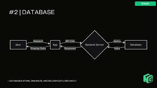 Lesson #2: What are Databases: A Guide for Business Leaders | NextGen Coding Company