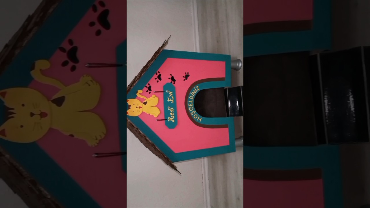 AMAZING CAT and DOG HOUSE 