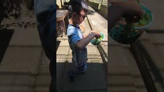 JAVAS BAWA BEBERAPA PAKAN UNTUK HEWAN #videoshorts #videoviral #shorts #fyp