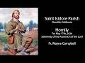 Homily For The Solemnity Of The Ascension Of The Lord 5 17 26 Fr Wayne 