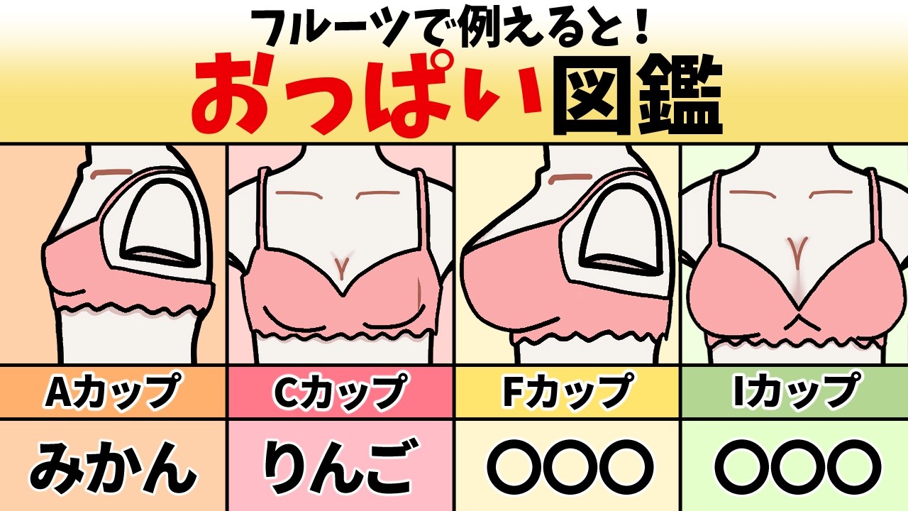 胸 の 大き さ カップ