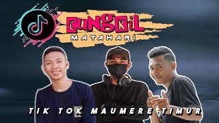 DJ CUNGKIL MATAHARI VIRAL TIK TOK ( voc Alfredo Saban ) Naldhy Nbrt Ft Stefan Andro