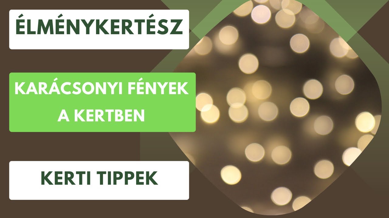 Karácsonyi fények a kertben🎄