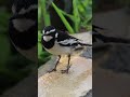 Discover Ugandan Birds in This Stunning Slideshow