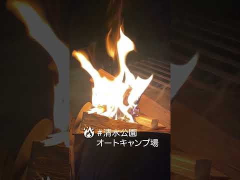 千葉県野田市の焚き火🔥　#shorts #キャンプ #キャンプ動画 #ソロキャンプ #焚き火の音 #camping #キャンプ場