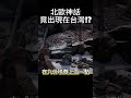 北歐神話竟出現在台灣！？