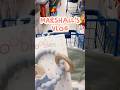 Come shopping with me for a baby shower gift 🤍 @m@marshalls#dayinmylife #shoppingvlog  #marshalls