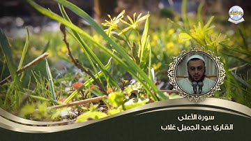 سورة الأعلى || الشيخ عبد الجميل غلاب