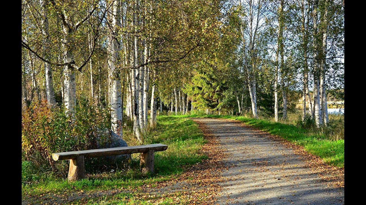 Картина на холсте 60x110 Альянс Лес "Природа лес" на подрамнике / интерьер/ деко