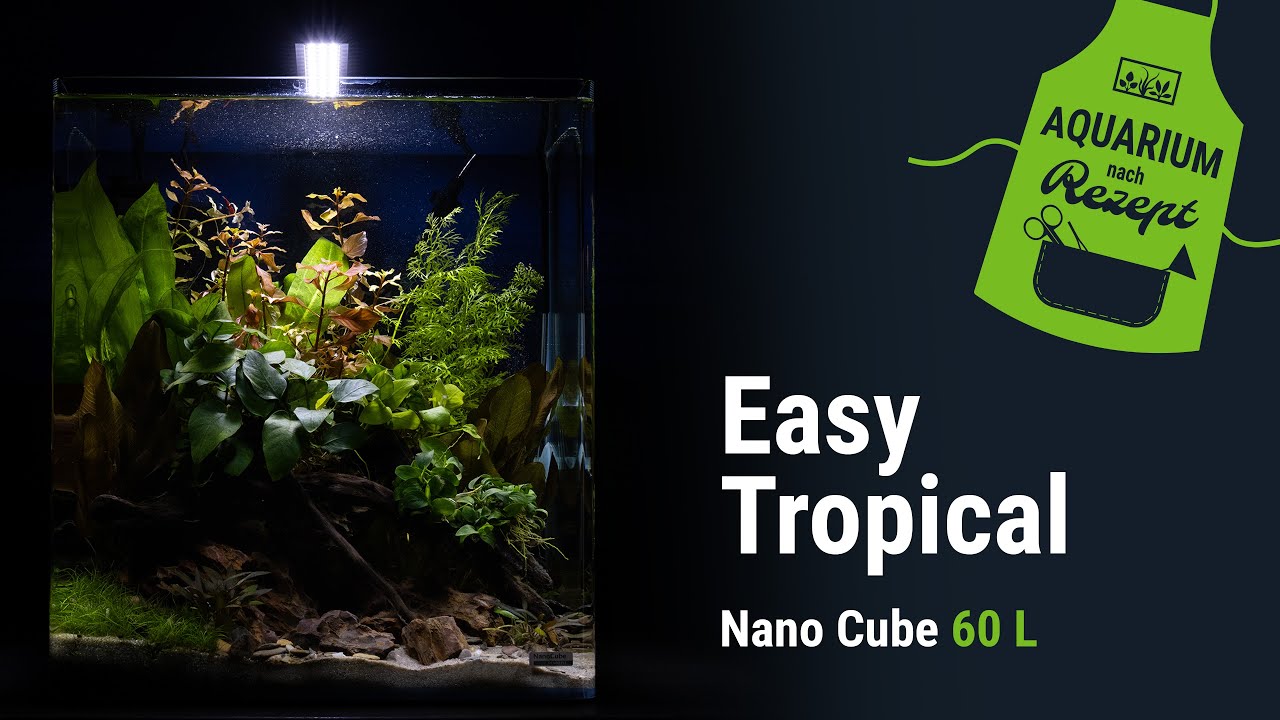 Easy Tropical Aquarium| 60 L Nano Cube | Aquarium nach Rezept | DENNERLE