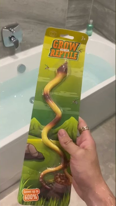 THIS SNAKE GROWS 600% ITS SIZE 🤩 #Shorts