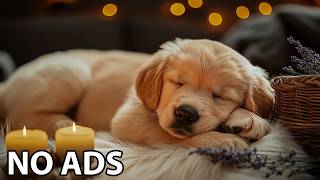 12 Hours Dogs Sleep Music 💕 Dogs Relaxation Music & Dog Soft Melodies For Comfortable Dog Stat screenshot 2