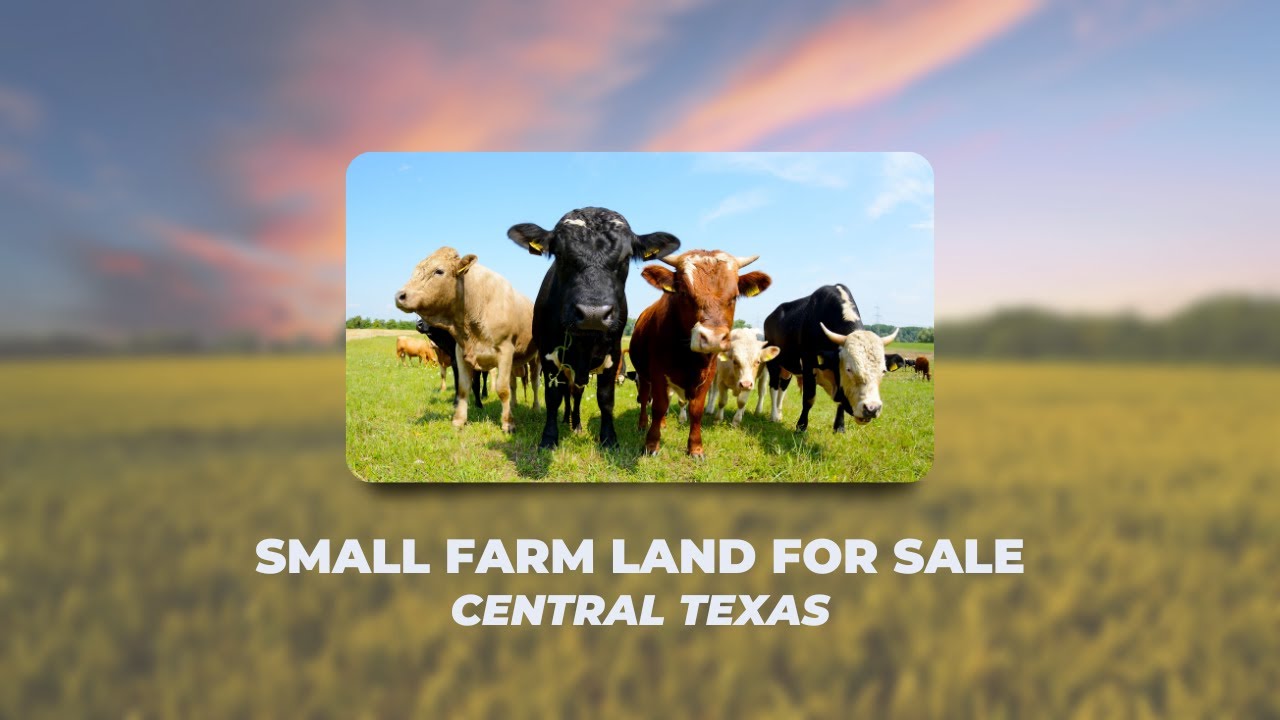 Texas Small Farm For Sale 10 acres YouTube