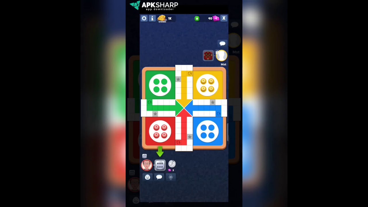How to Play Ludo Star Game