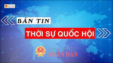 Bản tin Thời sự Quốc hội ngày 4.7.2023 | QUỐC HỘI VỚI CỬ TRI