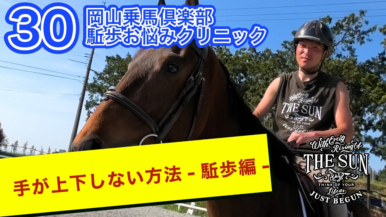 第30弾 駈歩時に手が上下しない方法をお伝えします！！【岡山乗馬倶楽部 駈歩お悩みクリニック】