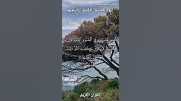 📚القرآن الكريم 📚ما تيسر من سورة يونس •